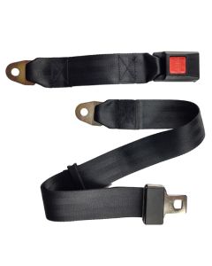 Buckle Up(TM) Wheelchair Seat Belt