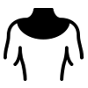 Back & Neck